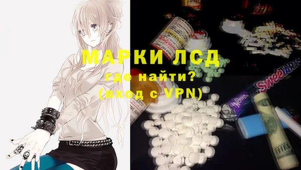 apvp Алзамай