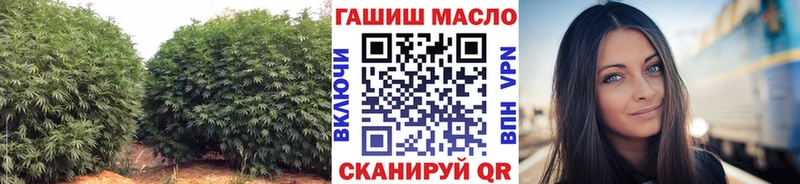 Дистиллят ТГК THC oil ОМГ ОМГ зеркало Жуков