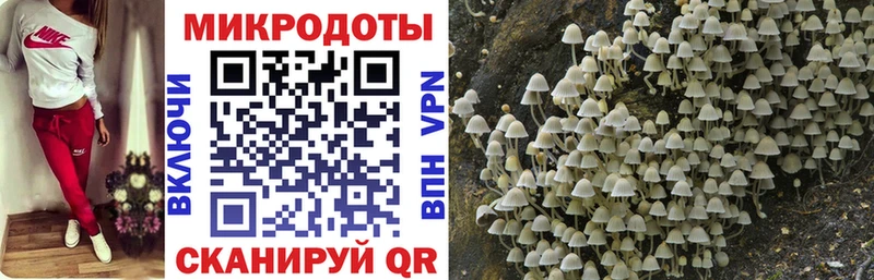 Галлюциногенные грибы Psilocybe  Жуков 
